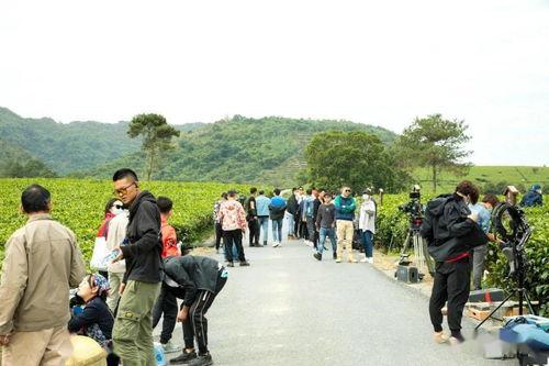 香港明星谷,璀璨星光下的传奇之地