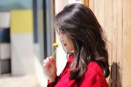 中国哪个网红最有仙气,揭秘中国最具仙韵网红的神秘魅力