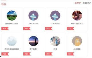 万读小说头条号,揭秘热门小说背后的故事与创作灵感