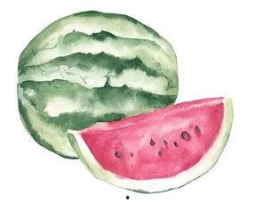 男女吃瓜的不同,男女吃瓜的趣味对比