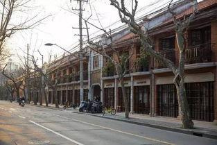 晨旭路附近网红店地址,探寻周边热门美食店铺集锦