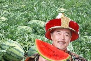 国王吃瓜,一场别开生面的吃瓜盛宴