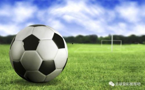 荷兰足球爆料视频播放下载,独家下载，揭秘赛场幕后精彩瞬间