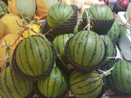 小筑吃瓜,揭秘娱乐圈那些不为人知的幕后故事