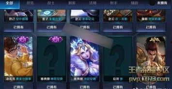 王者最新皮肤优化爆料,最新皮肤优化爆料，视觉盛宴即将来袭！