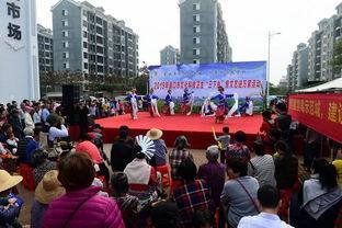 美兰区演丰镇新闻头条,渔村焕新颜，乡村振兴谱新篇