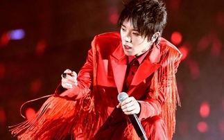 喜欢的明星华晨宇