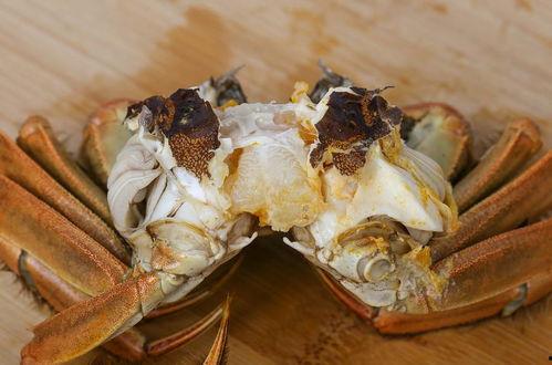 青岛网红卖螃蟹子,海鲜美食新宠，捕获味蕾的心动之旅