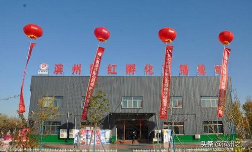 无棣网红道具出租店,打造你的个性直播风潮