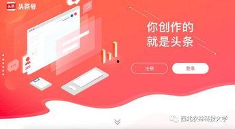 上海网红头条号平台,揭秘魔都最新潮流风向标