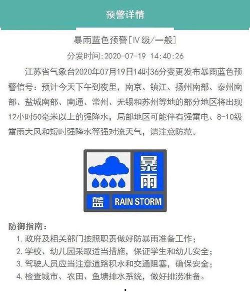 今日看料 回家官网查询,揭秘回家官网最新动态与特色服务