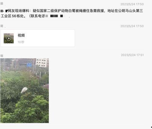 深圳新闻爆料官网最新版