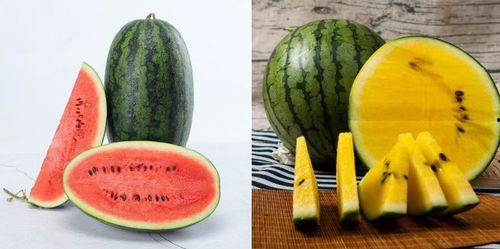 吃瓜不吃瓜是什么生肖,吃瓜不吃瓜，生肖之谜一网打尽