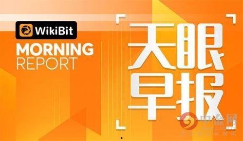 头条day,聚焦热点，洞察社会脉动