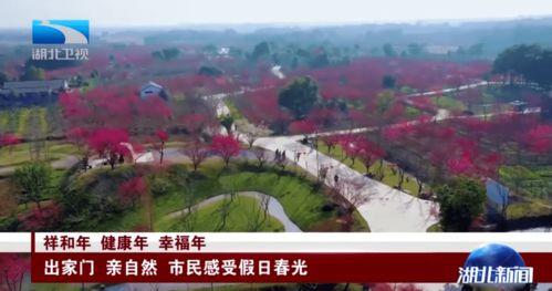 荆州市望山镇新闻头条,聚焦乡村振兴，共绘美好家园新画卷