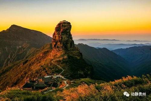 广西群山最新新闻头条,神秘古村落藏身原始森林，揭开历史面纱