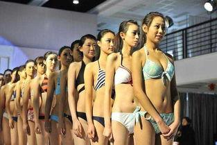 泳装大赛每日更新几集啊,每日更新剧集揭秘