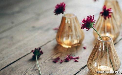 微头条怎么加油比心,互动更温馨