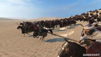 热门爆料骑马视频,背后的故事与精彩瞬间