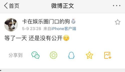 吃瓜爆料在哪个平台,吃瓜爆料，热门平台背后的故事与真相”