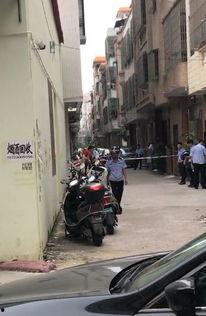 吴川幼儿园爆料视频播放,揭秘幼儿园真实状况