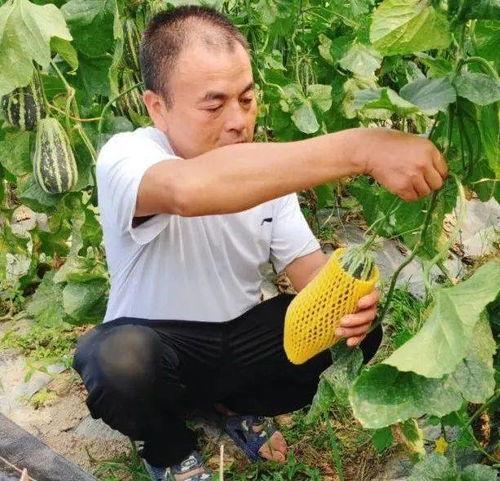 吃瓜宠冠,揭秘娱乐圈宠粉秘籍